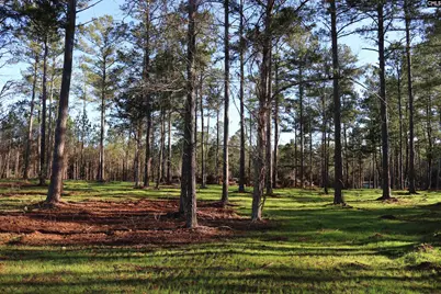 Richburg Lane, Prosperity, SC 29127 - Photo 3