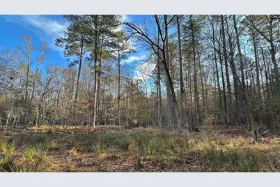 Richburg Lane, Prosperity, SC 29127 - Photo 7