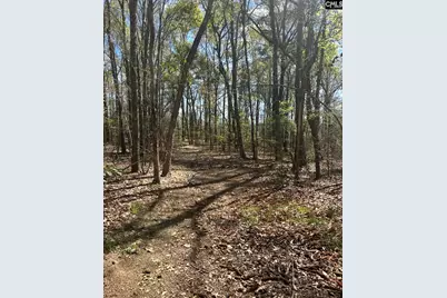 1856 River Road, Greeleyville, SC 29056 - Photo 13