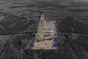 1856 River Rd, Greeleyville, SC 29056 - Photo 1