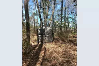 1856 River Road, Greeleyville, SC 29056 - Photo 11