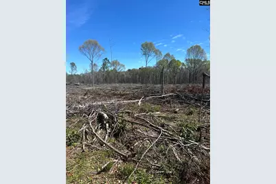 1856 River Road, Greeleyville, SC 29056 - Photo 5