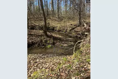 1856 River Road, Greeleyville, SC 29056 - Photo 15