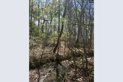 1856 River Road, Greeleyville, SC 29056 - Photo 17