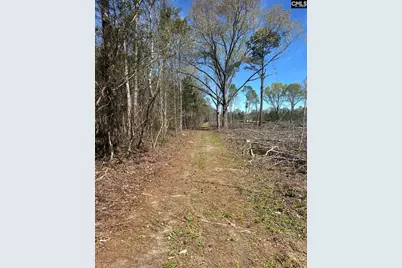 1856 River Road, Greeleyville, SC 29056 - Photo 3