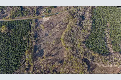 1856 River Road, Greeleyville, SC 29056 - Photo 21