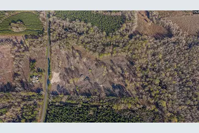 1856 River Road, Greeleyville, SC 29056 - Photo 23