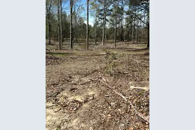 1856 River Road, Greeleyville, SC 29056 - Photo 9