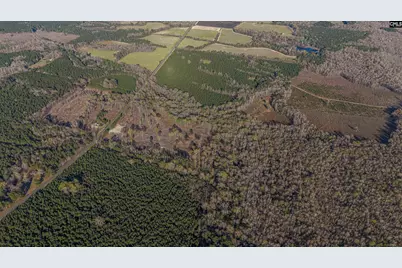 1856 River Road, Greeleyville, SC 29056 - Photo 25