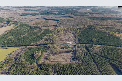 1856 River Road, Greeleyville, SC 29056 - Photo 27