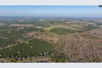 1856 River Road, Greeleyville, SC 29056 - Photo 19