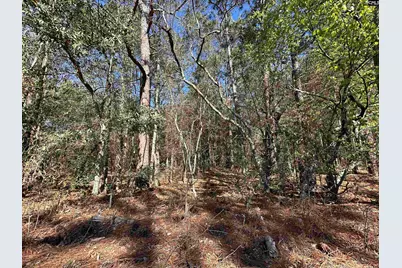 Lot 2 Mimosa Drive #2, Gaston, SC 29053 - Photo 1