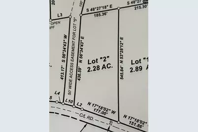 Lot 2 Mimosa Drive #2, Gaston, SC 29053 - Photo 3