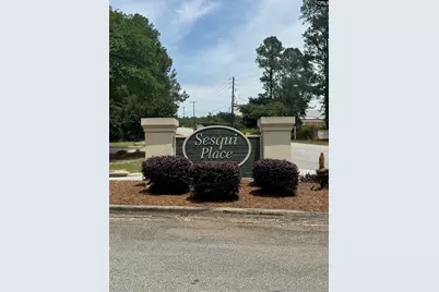 9 Sesqui Court, Columbia, SC 29223 - Photo 47