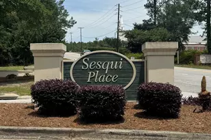 9 Sesqui Ct, Columbia, SC 29223 - Photo 47