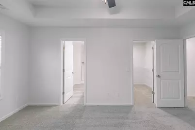 337 Wahoo Circle, Irmo, SC 29063 - Photo 21