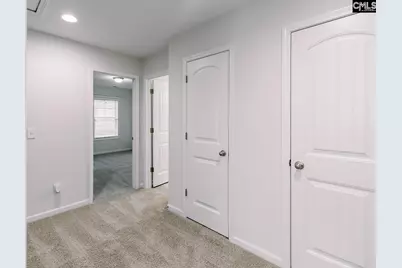 337 Wahoo Circle, Irmo, SC 29063 - Photo 25