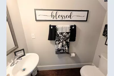 251 Meadow Saffron Drive, Lexington, SC 29073 - Photo 15