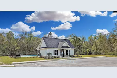 251 Meadow Saffron Drive, Lexington, SC 29073 - Photo 3