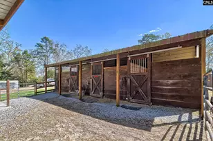 1305 Rock Island Rd, Gilbert, SC 29054 - Photo 13