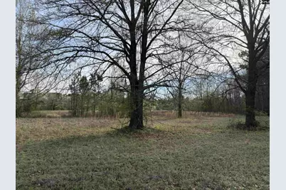 194 Wild Turkey Lane #3, Camden, SC 29020 - Photo 11