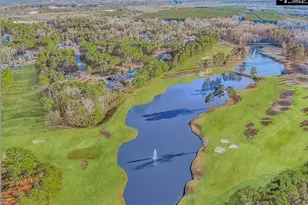 1220 Coogler Crossing Dr, Blythewood, SC 29016 - Photo 69