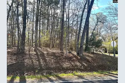 Holley Ferry Road, Leesville, SC 29070 - Photo 1