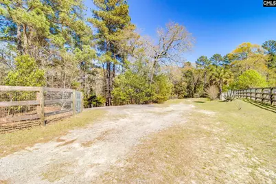 239 Blackthorn Drive, Gilbert, SC 29054 - Photo 47