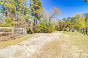 239 Blackthorn Dr, Gilbert, SC 29054 - Photo 47