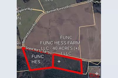 Tbd Bay Road, Rowesville, SC 29133 - Photo 3