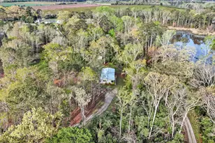 271 Westview Dr, Ridge Spring, SC 29129 - Photo 53