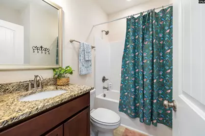 390 Gatesbrook Drive, Blythewood, SC 29016 - Photo 19