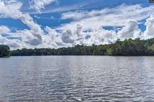 834 Parnell Ct, Columbia, SC 29229 - Photo 39