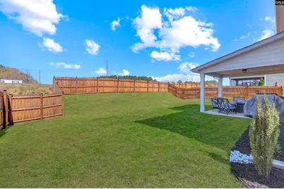 233 Falling Leaves Lane, Blythewood, SC 29016 - Photo 29