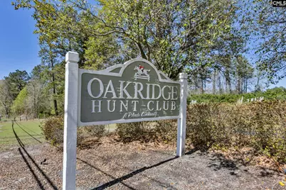 10 Dove Field Court, Hopkins, SC 29061 - Photo 49