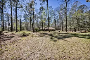 10 Dove Field Ct, Hopkins, SC 29061 - Photo 39