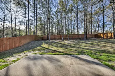 25 Leatherwood Drive, Lugoff, SC 29078 - Photo 35