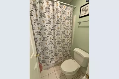 416 Shallow Brook Drive, Columbia, SC 29223 - Photo 23