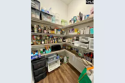 237 Timber Wood Drive, Chapin, SC 29036 - Photo 5