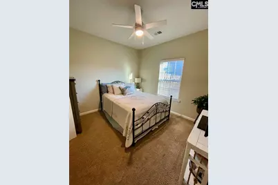 237 Timber Wood Drive, Chapin, SC 29036 - Photo 13