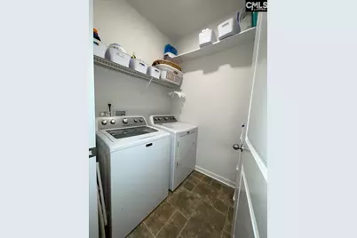 237 Timber Wood Drive, Chapin, SC 29036 - Photo 17