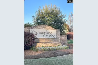 237 Timber Wood Drive, Chapin, SC 29036 - Photo 29