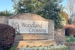 237 Timber Wood Dr, Chapin, SC 29036 - Photo 29