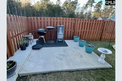 237 Timber Wood Drive, Chapin, SC 29036 - Photo 23