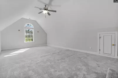 1168 Old Bush River Road, Chapin, SC 29036 - Photo 23