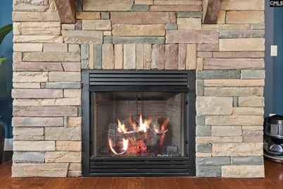 217 Aqua Cove Court, Inman, SC 29349 - Photo 7