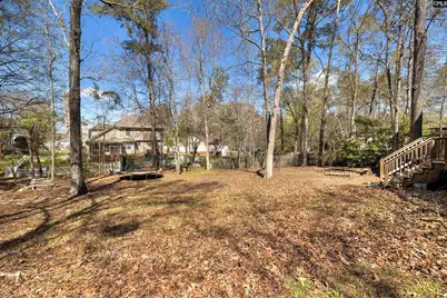 25 Glenhawk Loop, Irmo, SC 29063 - Photo 45