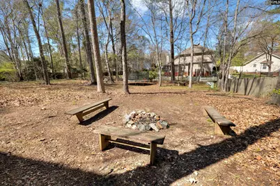 25 Glenhawk Loop, Irmo, SC 29063 - Photo 43