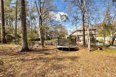 25 Glenhawk Loop, Irmo, SC 29063 - Photo 45