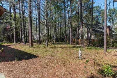 18 Chinquapin Court, Columbia, SC 29212 - Photo 29